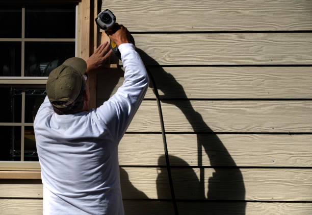Best Insulated Siding Installation  in Novi, MI